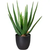 P&b Kunstpflanze 3321103LO-50 Aloe Vera