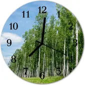 Tulup Glasuhr Wanduhr Küchenuhr Echt-Glas 30fi cm Birken grün