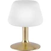 Paul Neuhaus Nachttischlampe Till, dimmbar, messing / gold, für Wohn- / Esszimmer, Metall, Modern, Tischlampe