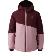 Dare 2b Snowbasherjk fig/lilas (0FY) 13yrs
