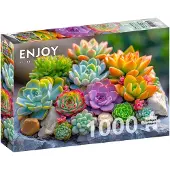 Enjoy Puzzle Sukkulenten Puzzle 1000 Teile