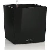Lechuza Cube