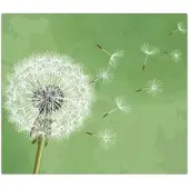 Banjado Herdabdeckplatte Glas 1 Teilig 60x52CM Schneidebrett Herdabdeckung Mit Motiv Pusteblume 3