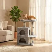 Belviona Kratzbaum mit 2 Höhlen & Spielball, 80 cm Katzenbaum mit Sisal & Liegefläche