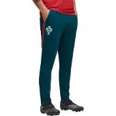 Puma Portugal 25/26 Training Hosen