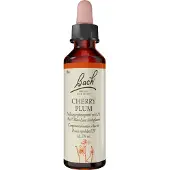 Nelsons GmbH Bachblüten Cherry Plum Tropfen 20 ml