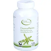 G & M Naturwaren Import GmbH & Co. KG Chanca Piedra Vegi Kapseln 120 St