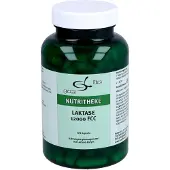 11 A Nutritheke GmbH Green Line Nutritheke Laktase 12000 FCC Kapseln, 120 St. Kapseln