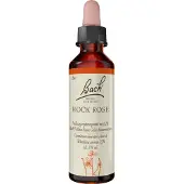 Bach Bachblüten Rock Rose Tropfen
