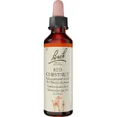 Nelsons GmbH Bachblüten Red Chestnut Tropfen