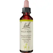 Bach Bachblüten Wild Rose Tropfen
