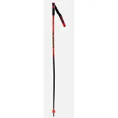 Rossignol Hero Gs-sg Stöcke