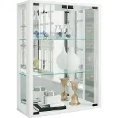 Hioshop Wandvitrine Sammelvitrine Glasvitrine Wand Vitrine Regal Schrank Glas Hängevitrine "Udina Spiegel"