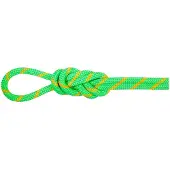 Mammut - 8.0 Alpine Dry Rope - Halbseil Gr 70 m grün