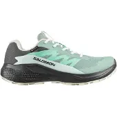 Salomon Alphaglide Gore-tex Trailrunning-schuhe