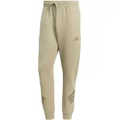 Adidas Herren Hose Future Icons 3-Streifen