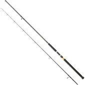 Daiwa Legalis Shore Jiggingrute