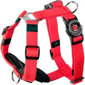 My Family Memopet H Adjustable Hundegeschirr