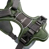 Hunter Geschirr Divo Grün/Grau XS