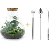 Urbanjngl Diy Terrarium - Sam Xl - 35 Cm