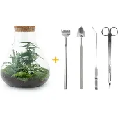 Urbanjngl Diy Terrarium - Sam Xl - ↕ 35 Cm