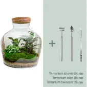 Urbanjngl Diy Terrarium - Fat Joe - ↕ 30 Cm