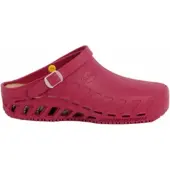 Scholl Clog Unisex Evo Wine-Schuhgröße 45