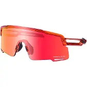 Shimano Equinox 5 Sonnenbrille