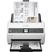 Epson WorkForce DS-730N, 215,9 x 6096 mm, 600 x 600 DPI, 30 Bit, 24 Bit, 10 Bit, 8 Bit