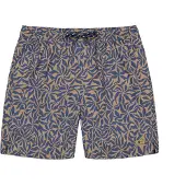 Barts Herren Badeshorts Ingleses Shorts