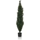 Hjh OFFICE Cedrus