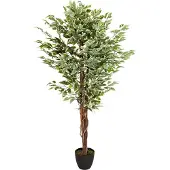 Hjh OFFICE FICUS | Kunstpflanze - Kunstpflanze Grün