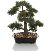 Hjh OFFICE Bonsai