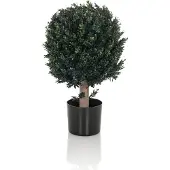 Hjh OFFICE Buxus