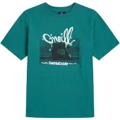 O'Neill Slub Graphic T-shirt botanical heat (15097) 164