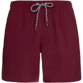 Protest DAVEY beachshort