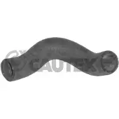 CAUTEX Kühlerschlauch 031219 für Peugeot Unten
