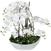 Creativ Green künstliche Pflanze Phalaenopsisarrangement, 68cm, "Real Touch"
