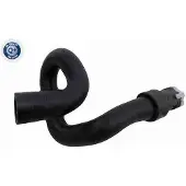 VAICO Kühlerschlauch Wasserschlauch für FORD Focus II Schrägheck (DA, HCP, DP) V25-2327