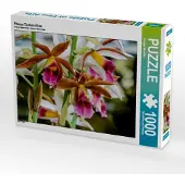 CALVENDO Phaius Tankervilliae 1000 Teile Puzzle quer 640x480mm, Woehlke Juergen; 7365558