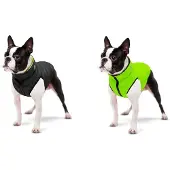 Collar Pet Airyvest Hundejacke