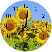 Tulup Glasuhr Wanduhr Küchenuhr Echt-Glas 30fi cm Sonnenblumen gelb
