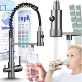 ARI 3-Wege Küchenarmatur Solid Spring mit Wasserfilter-Anschluss, herausziehbare Brause, 360° schwenkbar, getrennte Wasserwege, Keramikkartusche Graphit