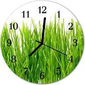 Tulup Glasuhr Wanduhr Küchenuhr Echt-Glas 30fi cm Gras grün