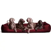 Tierlando Orthopädisches Hundebett GOOFY >> inkl. Matratzenschoner
