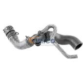 VAICO Kühlerschlauch Wasserschlauch für VW Golf IV Schrägheck (1J1) V10-3915