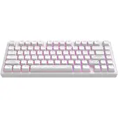 Dark Project Aluminum Terra Nostra (Weiß) Mechanische Gaming-Tastatur 75% (US English) [ANSI]