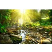A.S. Création Vliestapete "Wald-Tapete Sonnenstrahlen Grün Braun Fototapete" matt glatt