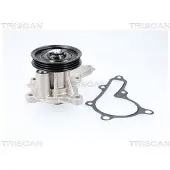 TRISCAN Wasserpumpe 8600 43034