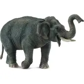Collecta Asiatischer Elefant XL - Tierfigur